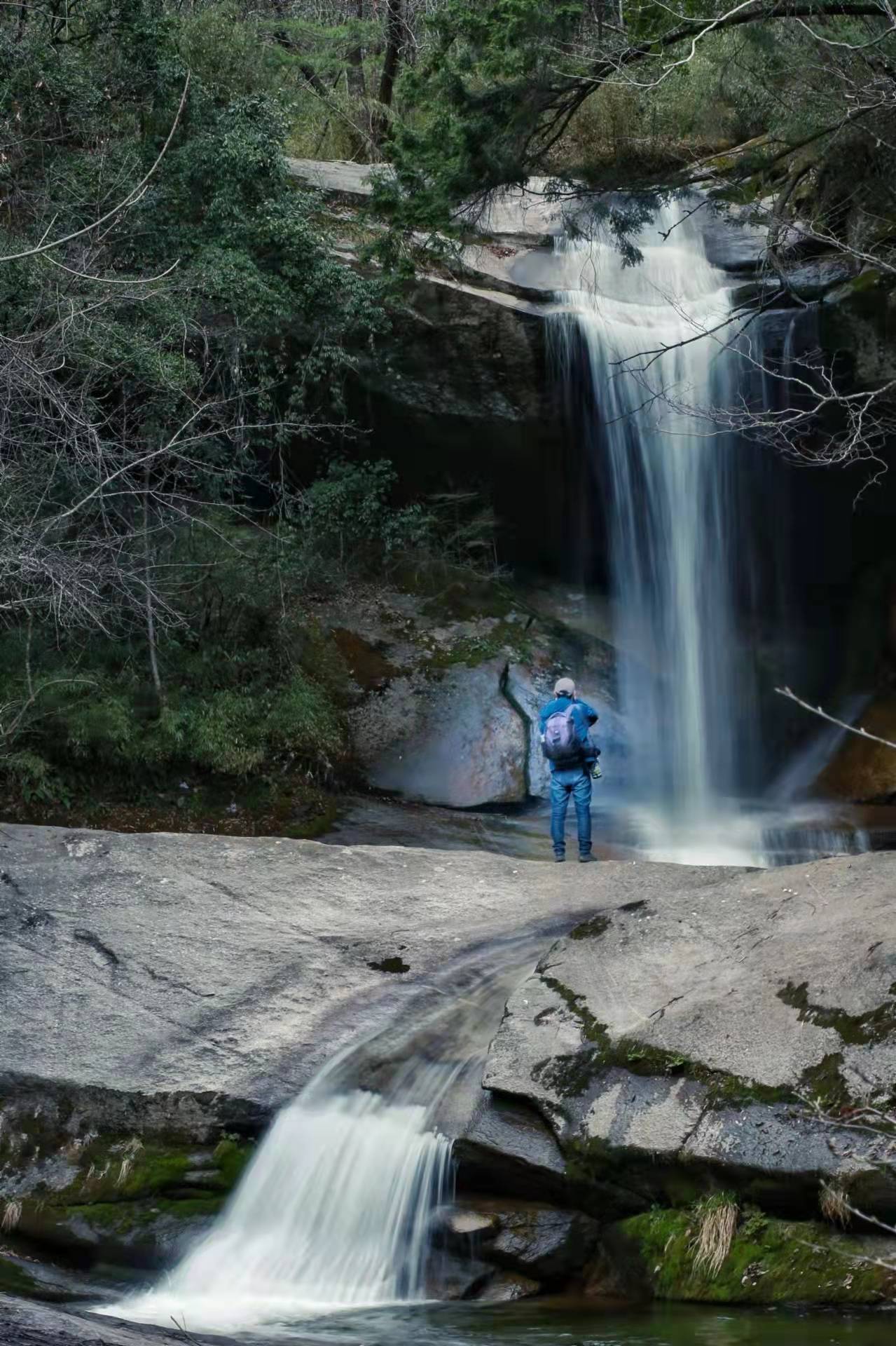 莫干山|恰是春游好时节 一起来商洛木王山国家森林公园探寻春天的美好