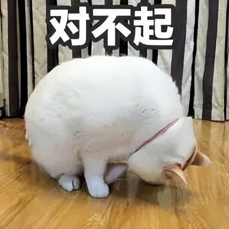 京东|做自媒体该不该接广告?