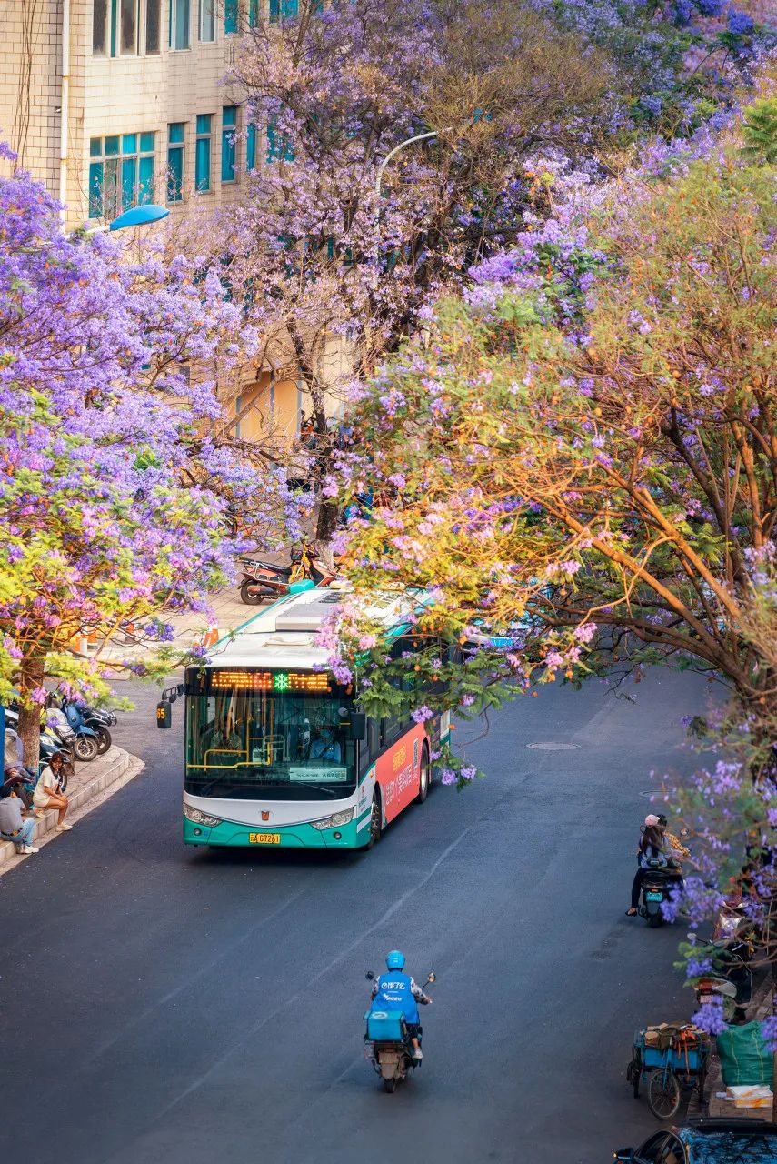 珠海|中国最适合养老的8个2线城市，每个都很安逸，你喜欢几个？