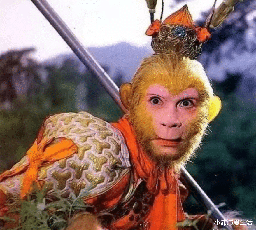 杨洁|杨洁葬礼上,六小龄童意外现身,本以为他放下恩怨,送恩师最后一程