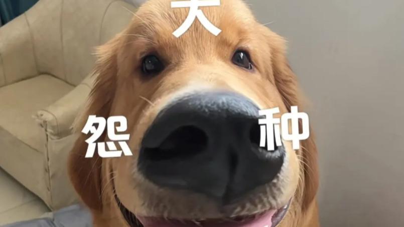 小程序|小程序认证拒绝交300元的方法！绝大多数人并不知道！从此不用当大冤种啦