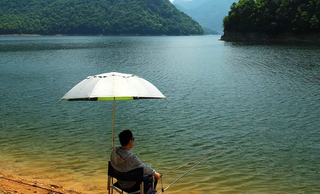 饵料|夏季钓鱼久守无口，悟透这5条“定律”，夏钓不迷茫，轻松爆护