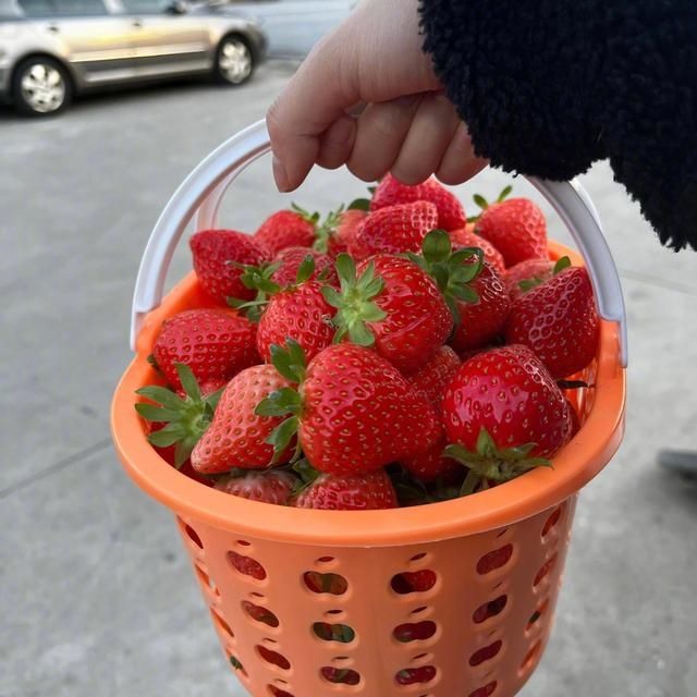 林允|26岁林允晒出北京的豪宅走红网络，全屋乱到极致，网友：很真实！