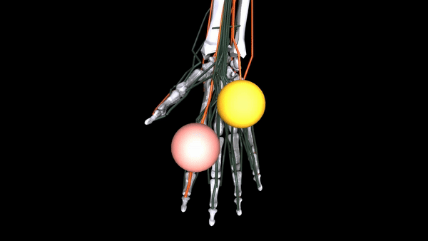 电子商务|虚拟化身动作不协调?Meta开源肌肉骨骼动力学模型MyoSuite