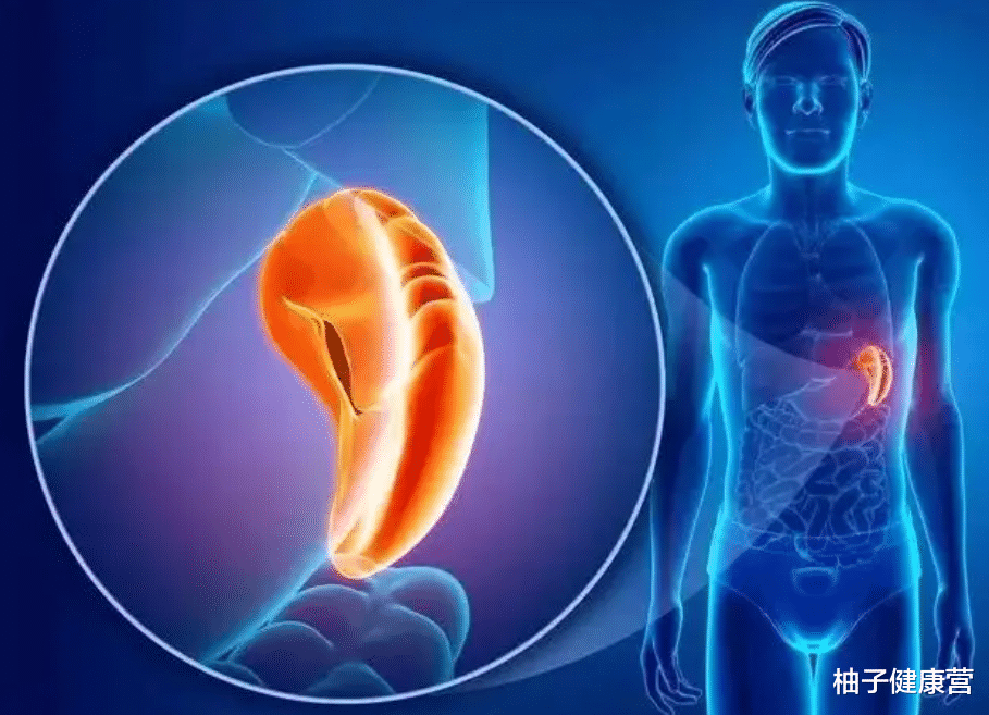 肠胃|遇上脾虚,胃就“废了一半”?平时身体消瘦的人,不妨看看