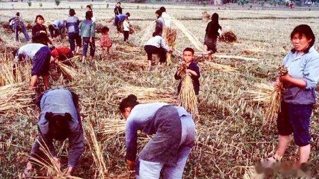 三玩市长雷渊利:敛财千万,情人怀孕要承包商掏住院费,下场如何