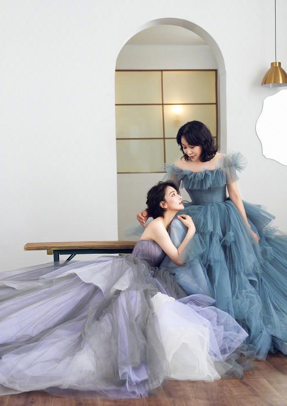 |张馨予：小院现吉象，母亲节当天鸟妈妈在自己的月季花上筑巢孵蛋