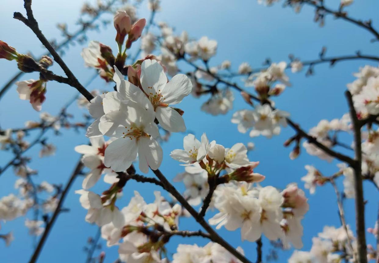 柳河|你最不想听的10句大实话