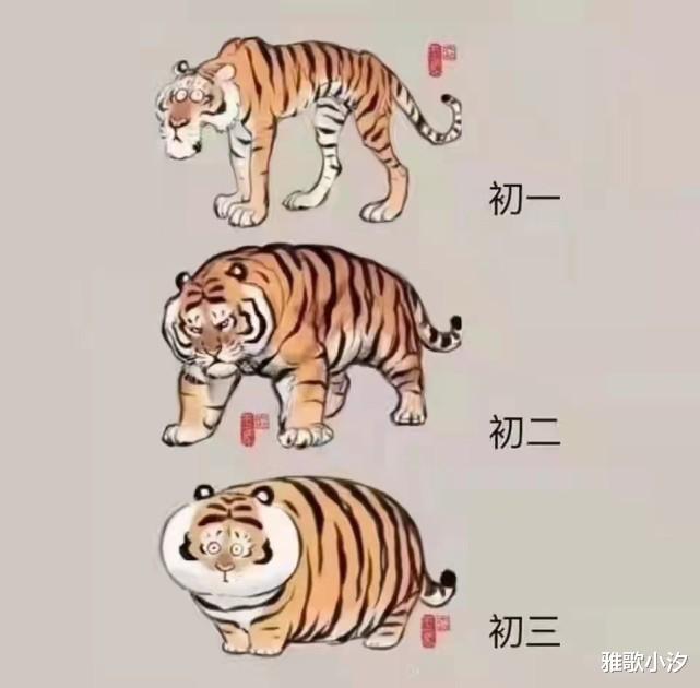 菜谱 谭维维大方公开“独家7天食谱”，健康瘦身，只需这样吃