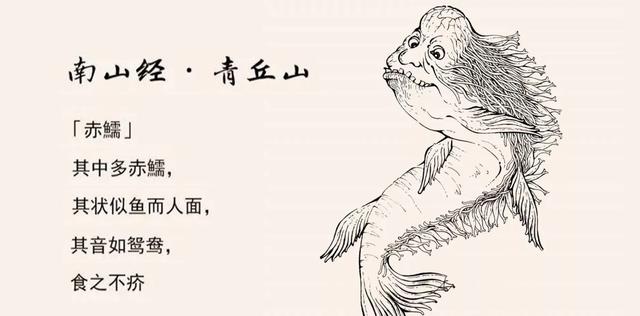传说中的赤鱬,西方人眼里的美人鱼,14年不见踪迹,已功能性灭绝