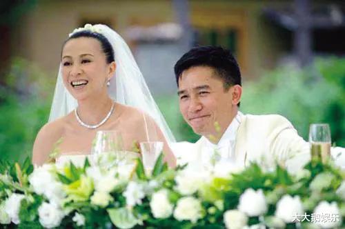 董洁|董洁的悲惨,是在“白天鹅”被“癞蛤蟆”吃到时就已经注定了的