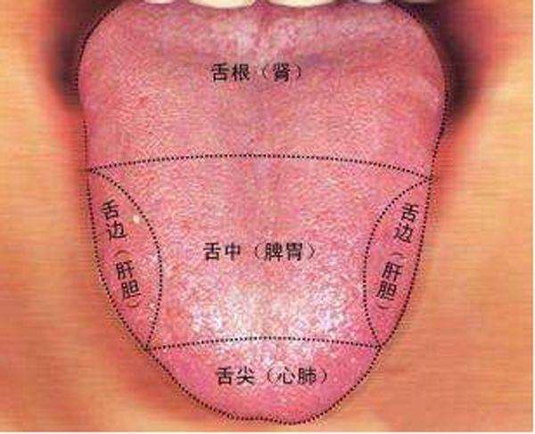胆囊|从舌苔看健康，跟中医学舌诊，这6种要注意！（中医小白篇）