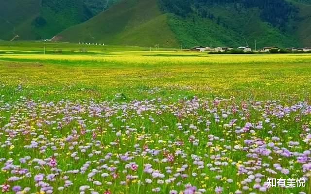 施甸|六月，到这8个地方走走，去过一个五彩斑斓，不似人间的夏天吧！