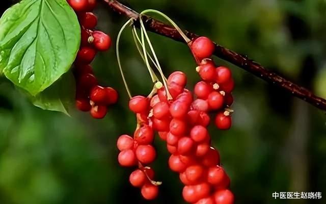 用药指南|五脏虚?教你用2味药泡水喝,补足心肝脾肺肾,让你全身充满活力