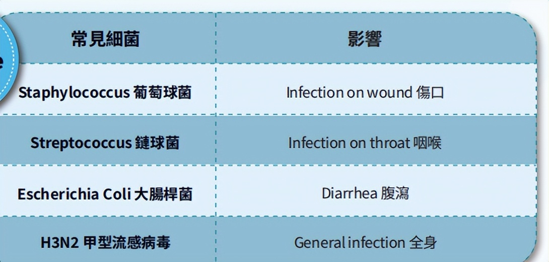 家里有易敏人群怎么装修?建议控制3个细节,日子越过越舒坦