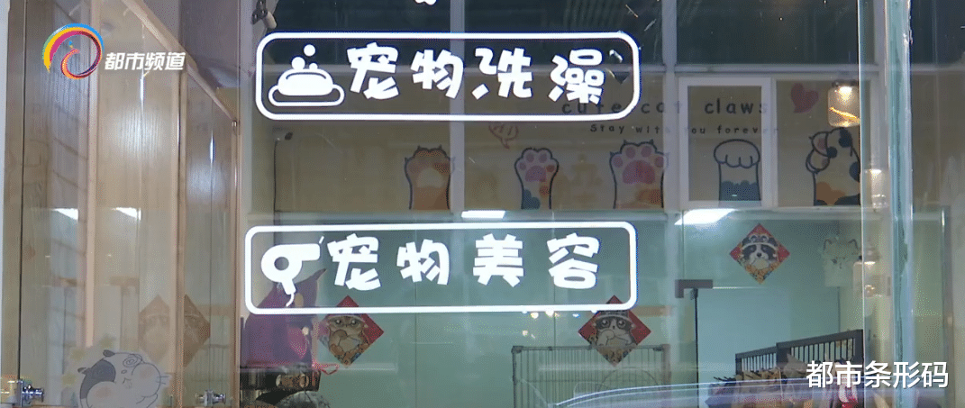 二月二 “龙抬头”剪好运 宠物也沾光