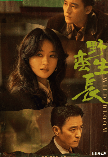 野蛮生长|向阳而生,无畏挑战,让我们一起走近《野蛮生长》!