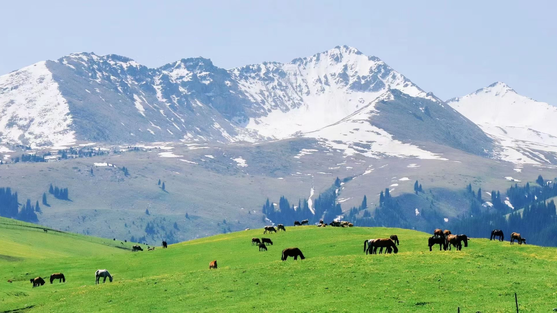 新疆维吾尔自治区|夏日炎炎，你做好来新疆的准备了吗？