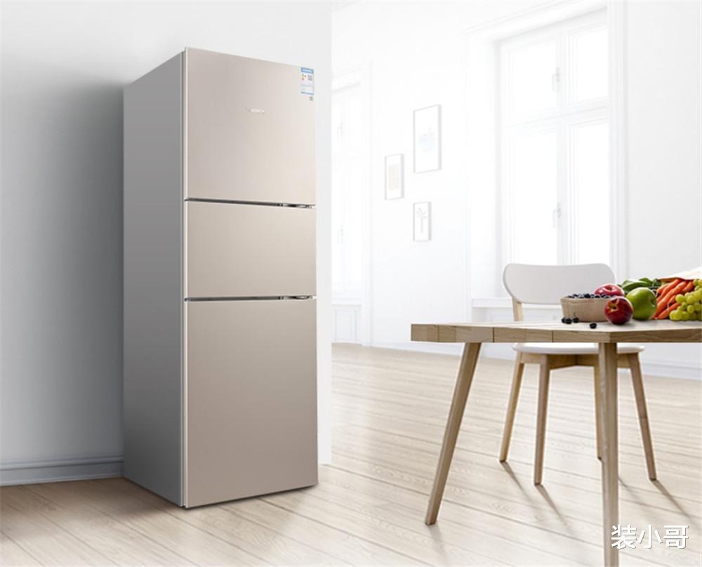 |用了这么多年冰箱，竟然没发现这个开关，能帮我们省下不少电费！