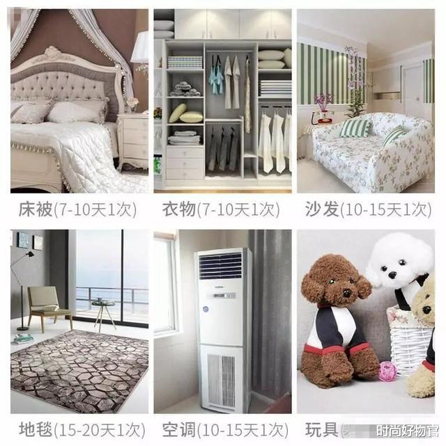 床垫用久了“螨虫”成窝?不用晒!只需2片叶子,螨虫自动消失