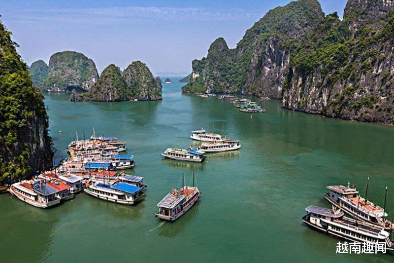 |越南“廉价游”套餐的骗局,很多人上当受骗