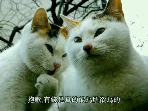 湖人队|2400W！休赛期第一笔签约！湖人还傻愣着啊！
