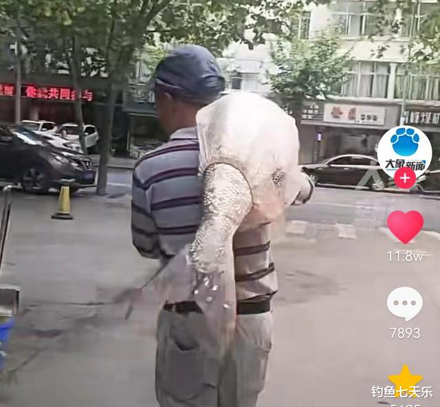 湖南|湖南男子钓获巨型鱤鱼，小区内扛着转悠，网友：这下全国都知道了