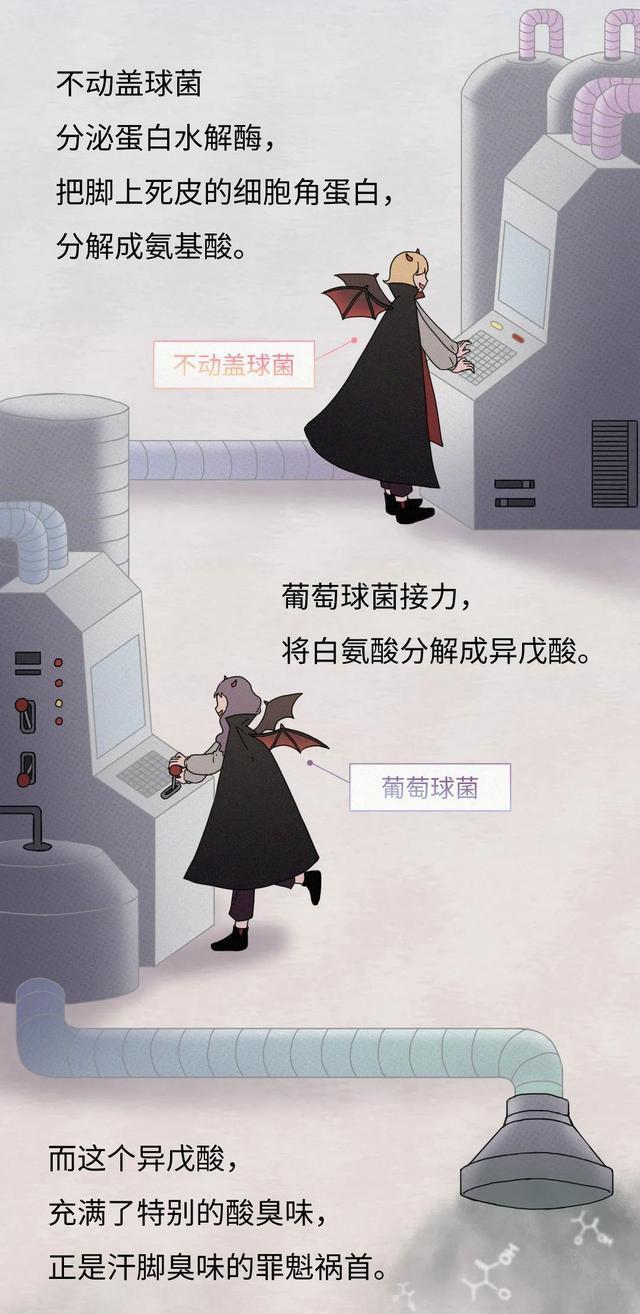 |为什么你的脚会那么臭？这是一个有味道的（漫画）
