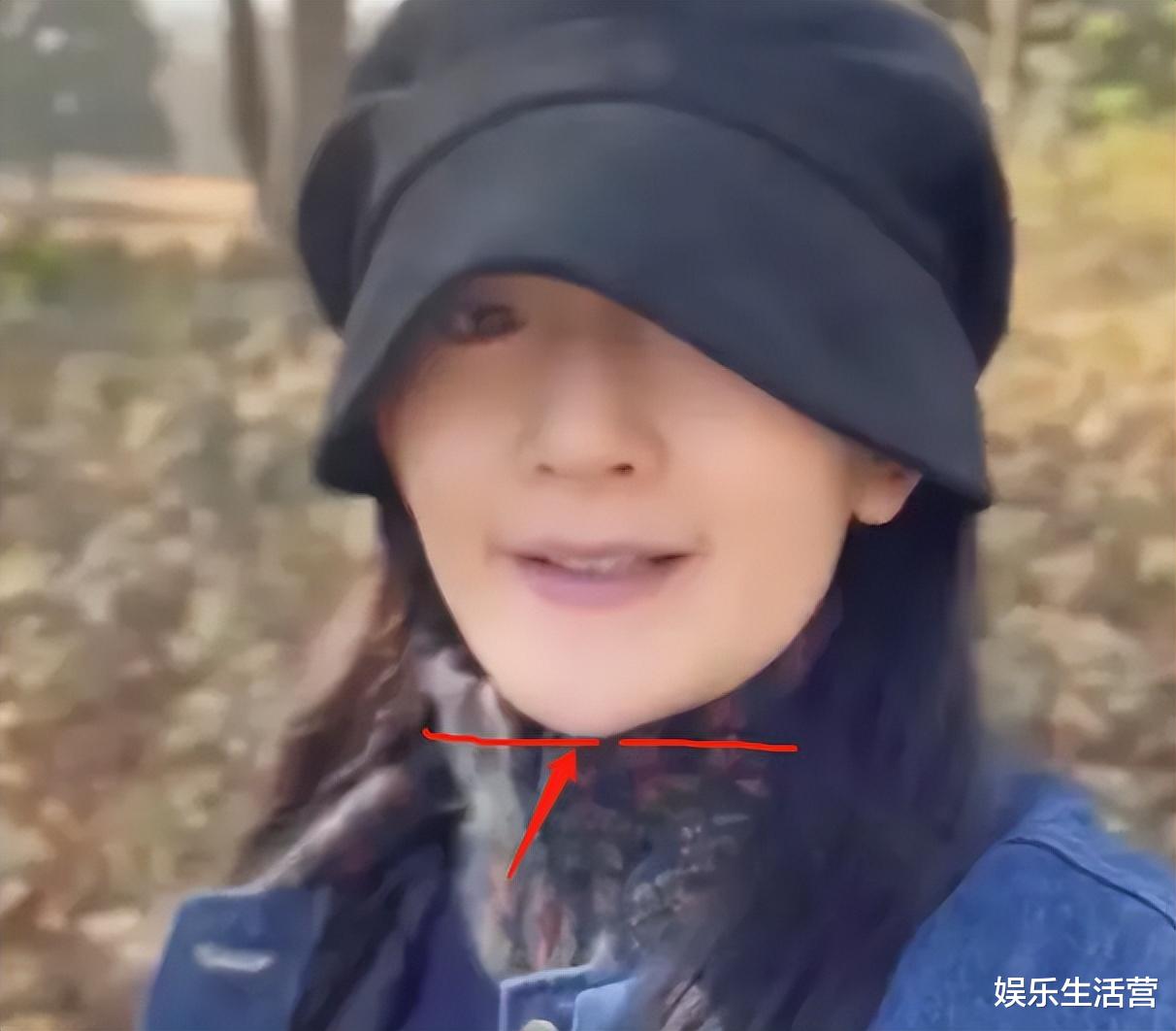 谢娜|谢娜带3女儿逛动物园,轮流背娃,颜值遭群嘲:歪下巴老太太