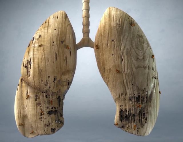 脱发|多久不吸烟才算戒烟成功？能熬过这2个阶段，那就要恭喜你了！