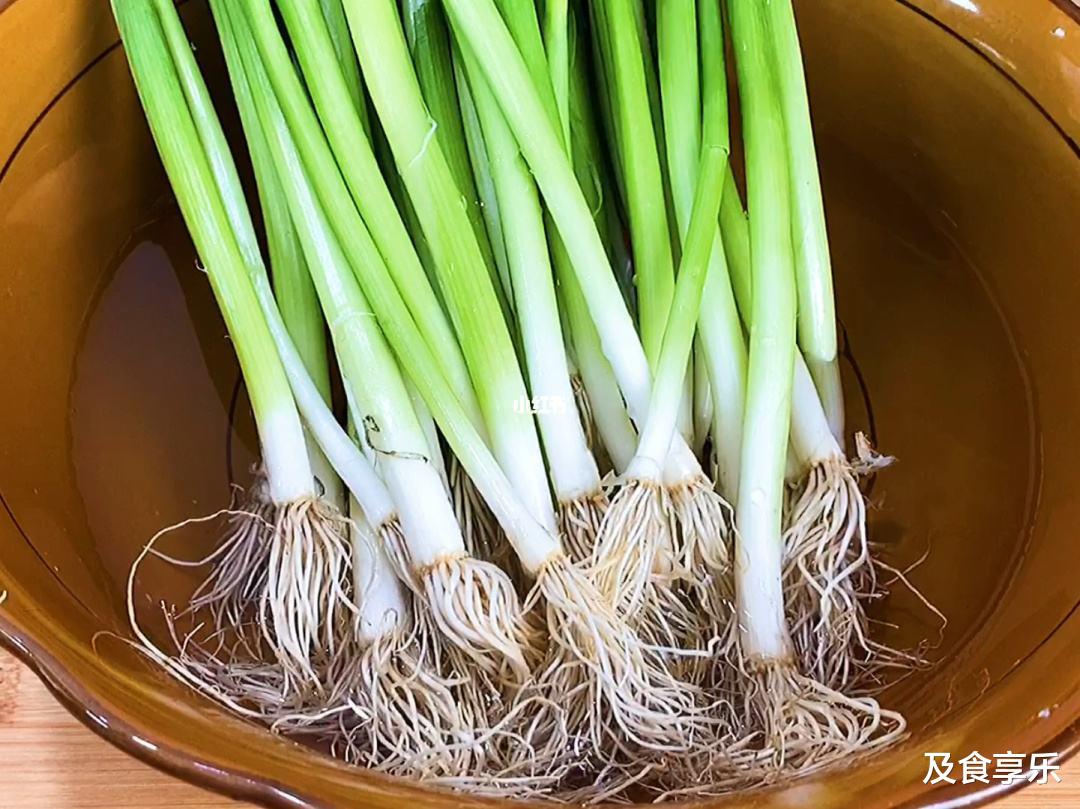 特殊时期囤蔬菜,这5种保存方法要牢记,放半个月都新鲜,不浪费