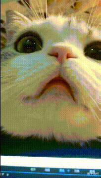 深圳市|“住在这种楼里，我应该注意点什么？”你爸是不是开发商？