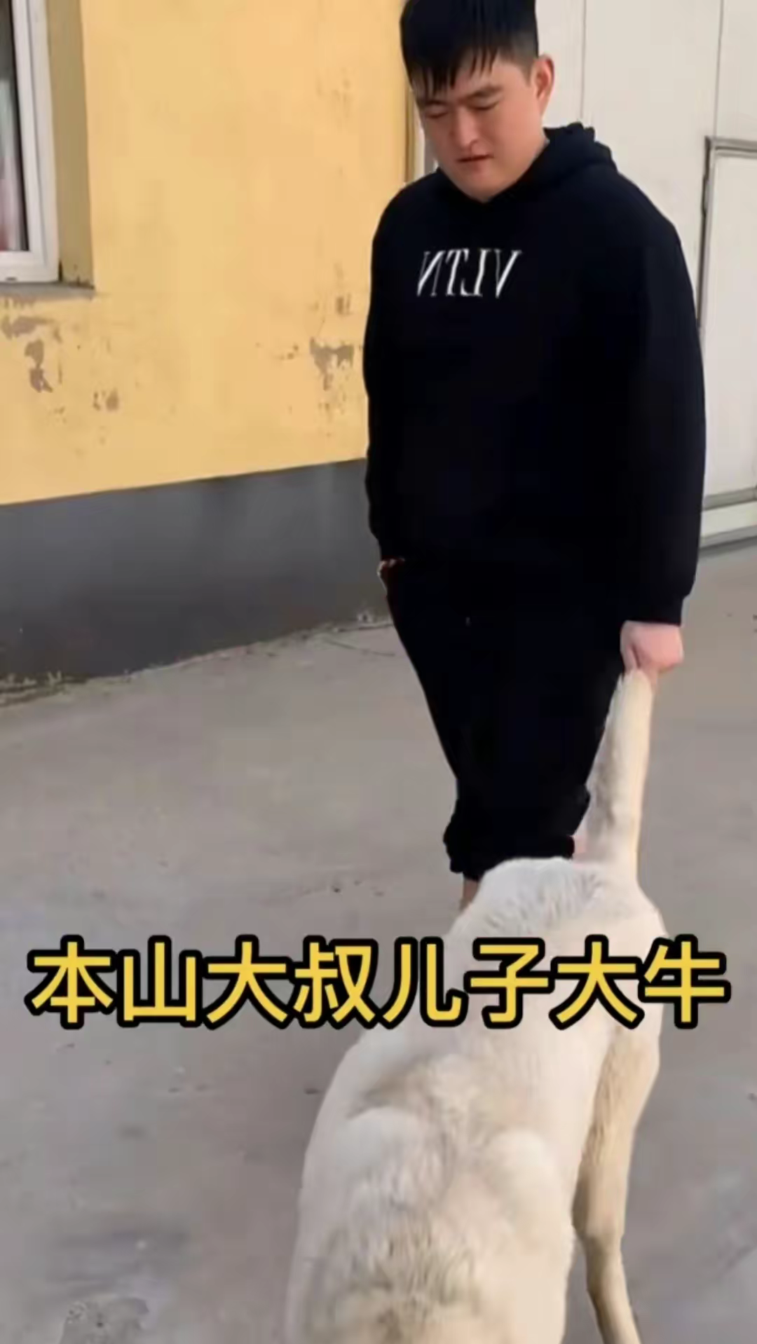 赵本山|赵本山儿子花260万买狗惹争议！年仅25岁，曾花500万买手串自带