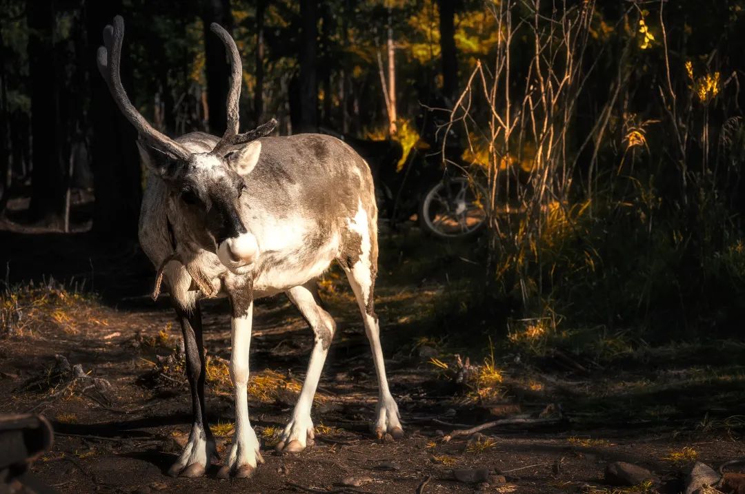 |7月的避暑天堂，8个避暑旅行地，个个美如仙境，你去过几个？