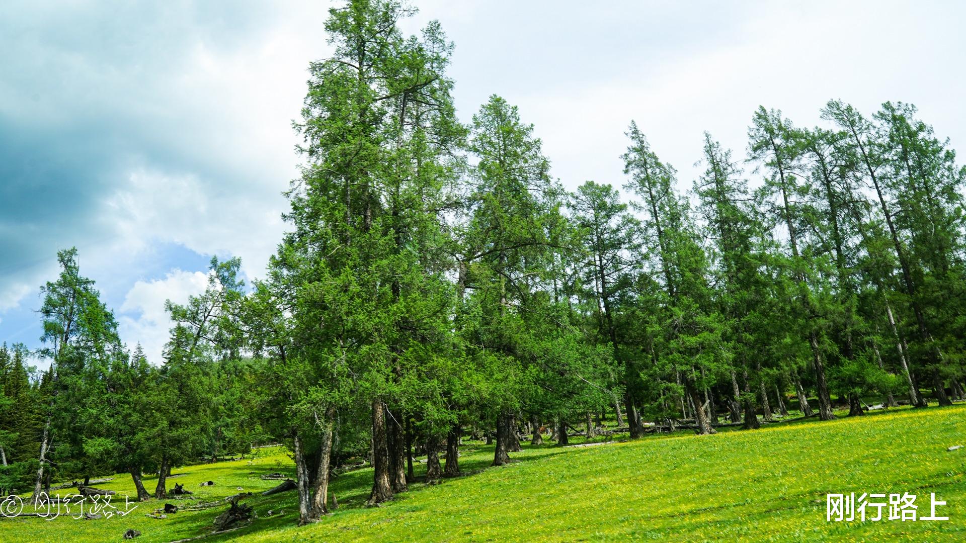 昆明|北疆旅行的精华：喀纳斯地质公园，被誉为“神的后花园”