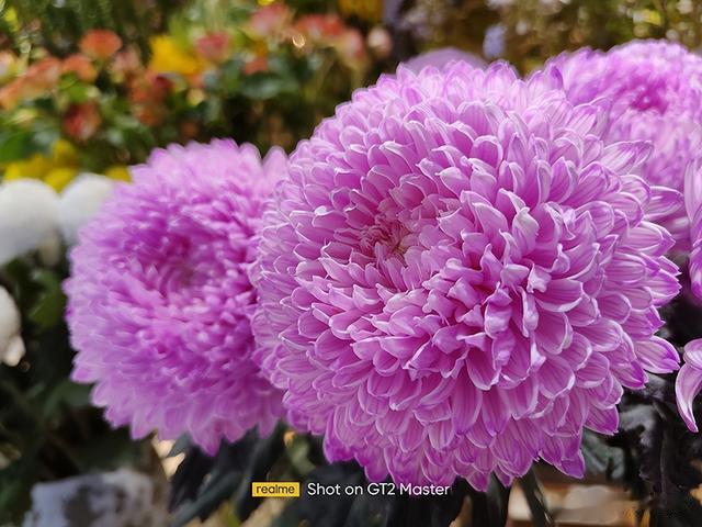 耳机|真我GT2大师探索版评测:内外皆优秀的无短板产品