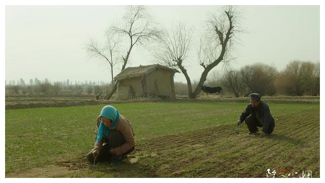 希林娜依·高|评分一路上涨，网播后票房不降反升，这部电影做对了什么？