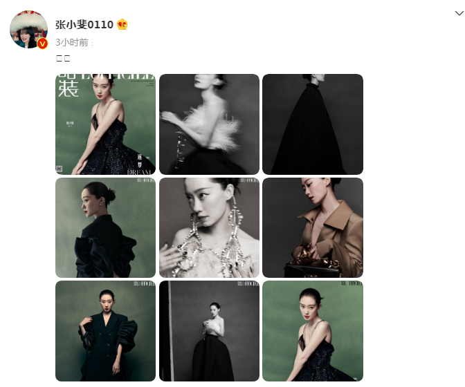护肤 张小斐无色眼妆登《时装》封面，高贵冷艳，宛若黑天鹅