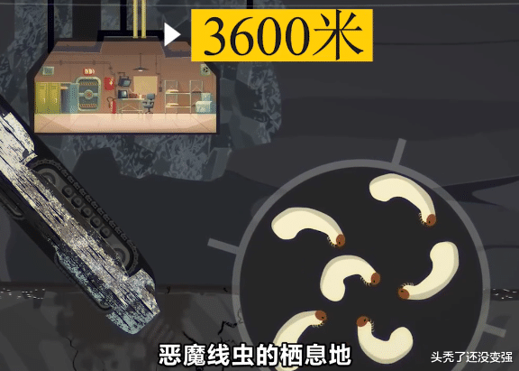 如果向下挖地球真的会被挖穿吗?