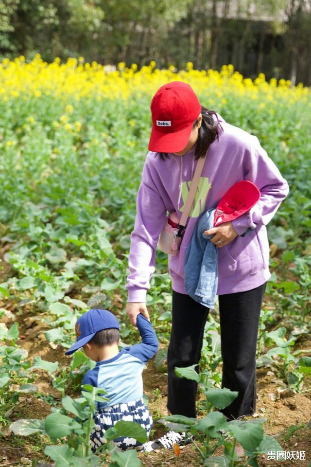 千娇百媚|周一围一家踏青，朱丹教女儿摘菜扶儿子看田园美景，画风温馨有爱