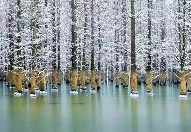 欧洲旅游|别去西湖了！这个鲜为人知的地方，纯朴悠然，去几次都不腻！