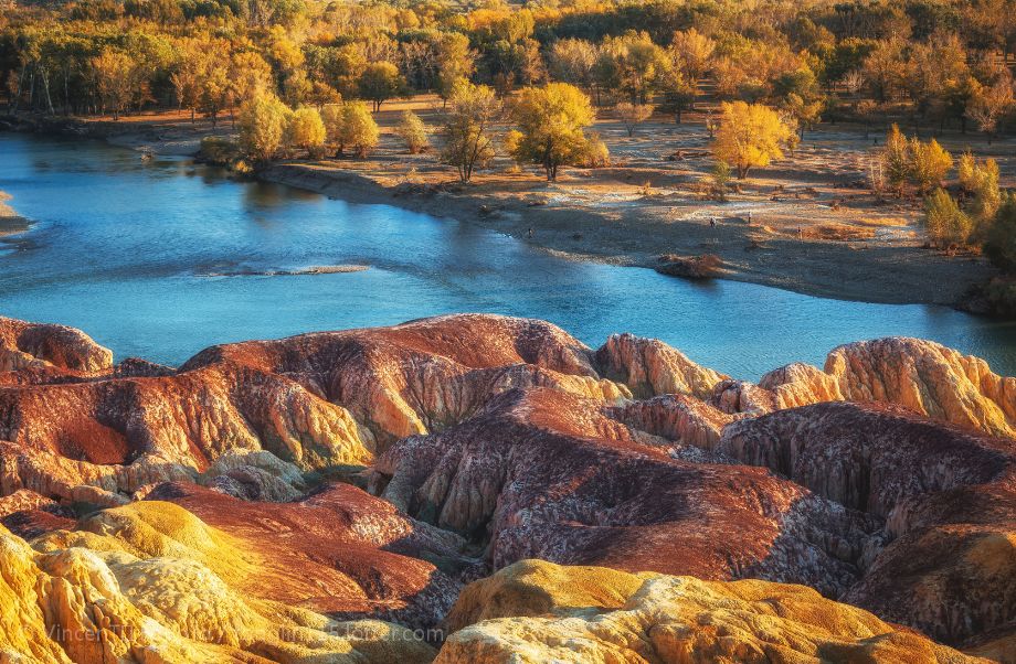 消费券|2022年的夏天,应该没有人不想去新疆吧