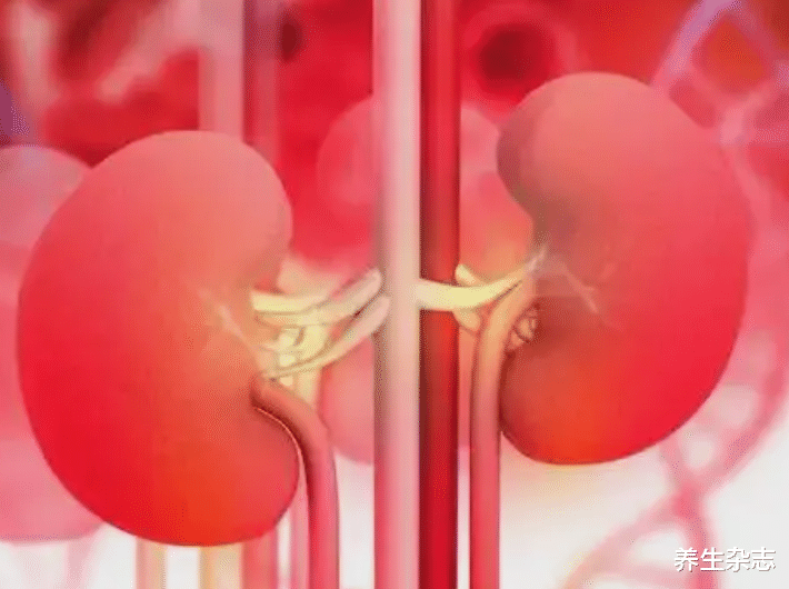 |“热汤变毒汤”，多名院士联合呼吁：喝一口等于钢丝球“刮肾”，趁早忌口