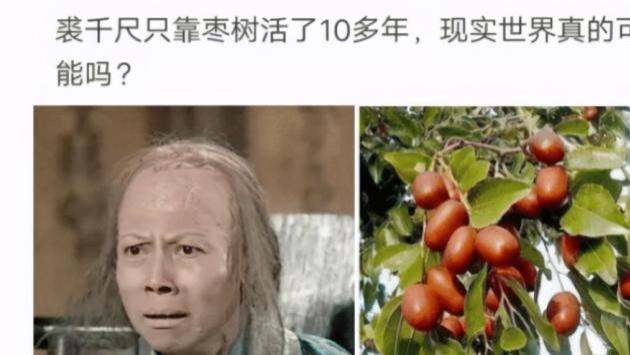 “裘千尺为什么只靠枣树就活了10多年？”这届网友很较真啊！