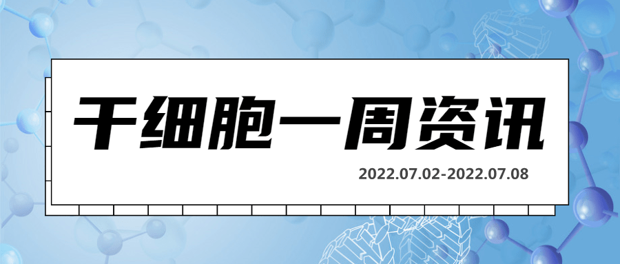 干细胞一周资讯(07.02-07.08)