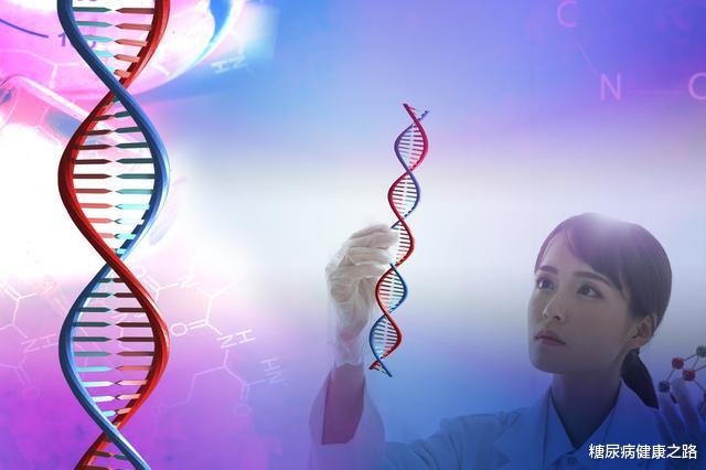 海带|七十万人研究结论:高血压与肥胖是缩短寿命最危险因素,要注意