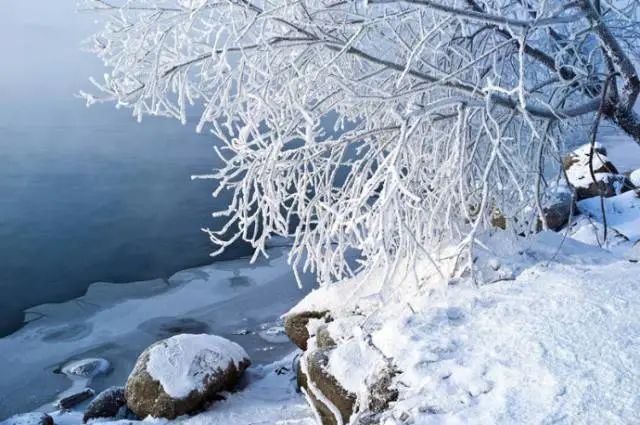 拍雪摄影技巧+攻略:如何展现冬季的冰清玉洁。