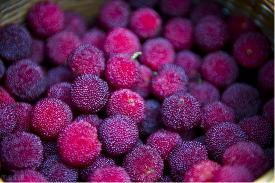 洗杨梅,用清水直接洗,等于吃虫卵!果农教我3招,虫卵跑光光