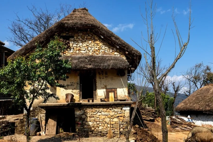 青岛市|青丘缘起，荷海芳华，除了荷花，你还能在普者黑看到什么？