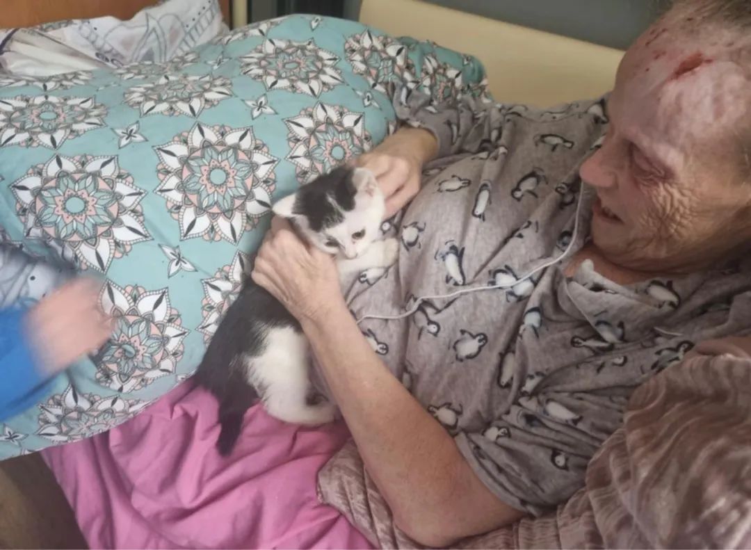 戴安娜王妃|戴安娜王妃生前最后一张照片曝光:总有些离开,猝不及防